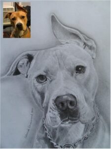 Dog Portraits 10