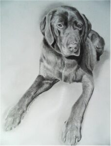 Dog Portraits 12