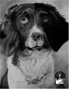 Dog Portraits 2