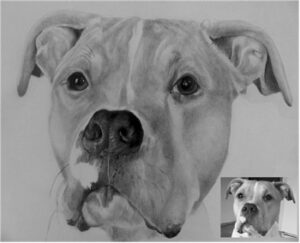 Dog Portraits 20