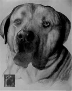 Dog Portraits 5