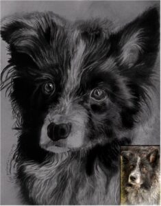 Dog Portraits 7