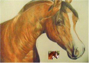 Horse Portraits 2