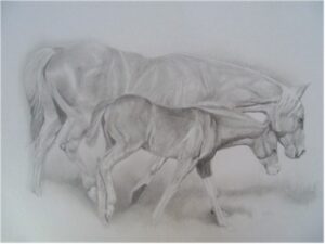 Horse Portraits 4